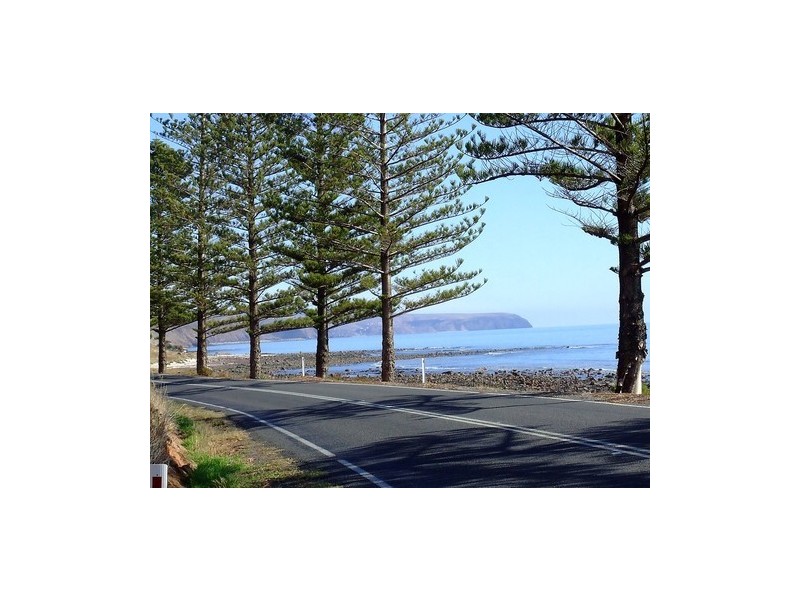 Lot 263 The Vines Drive, Normanville SA 5204