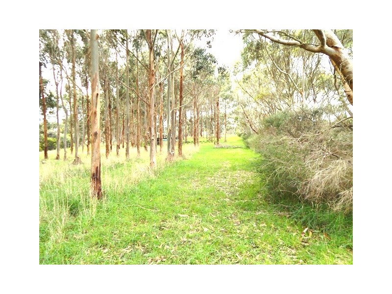 Lot 7, 48 Cole Road, Delamere SA 5204