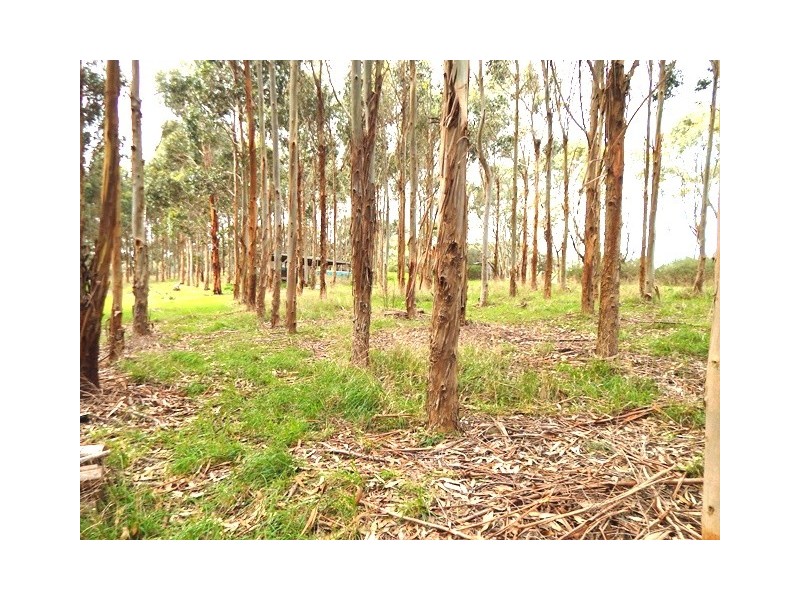 Lot 7, 48 Cole Road, Delamere SA 5204