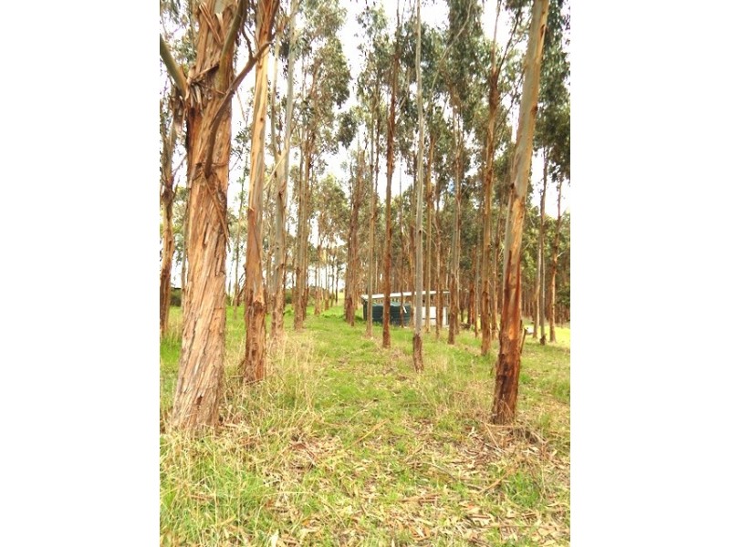 Lot 7, 48 Cole Road, Delamere SA 5204