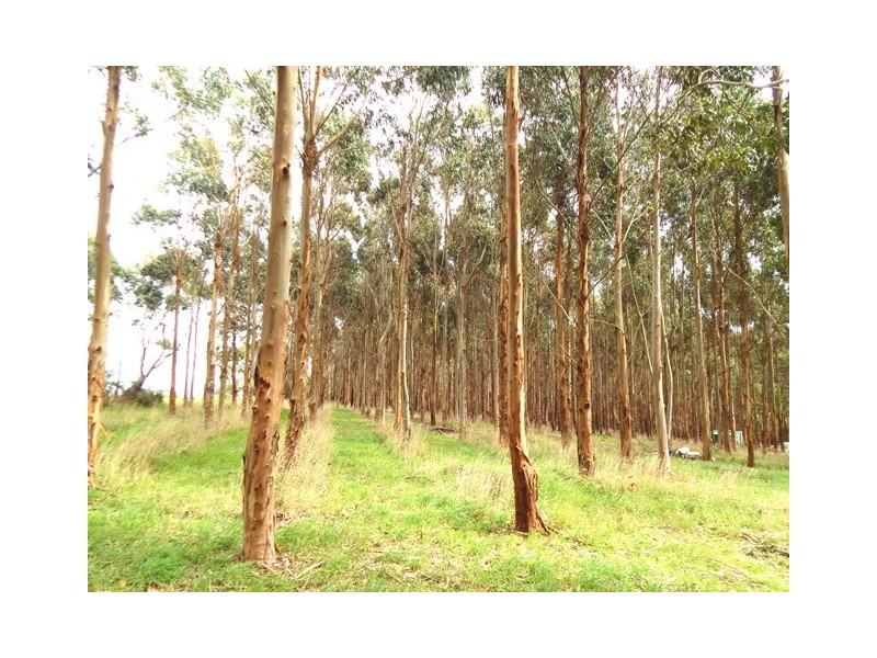 Lot 7, 48 Cole Road, Delamere SA 5204