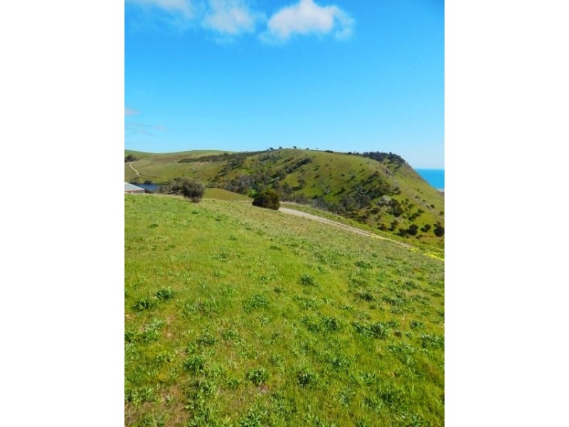 Lot 50, 43 Seaview Ave, Wirrina Cove SA 5204
