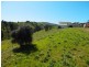 Lot 50, 43 Seaview Ave, Wirrina Cove SA 5204