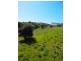 Lot 50, 43 Seaview Ave, Wirrina Cove SA 5204
