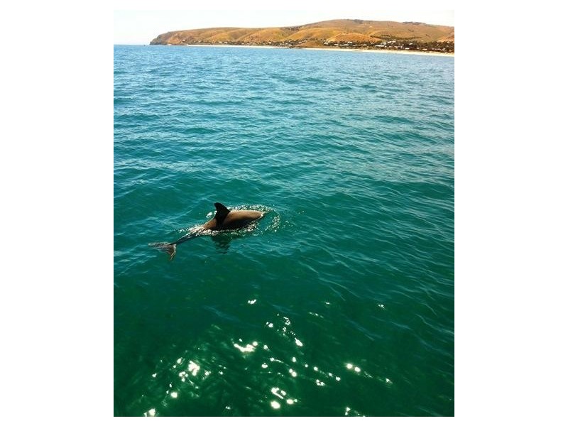 Lot 128, 28 Union Road, Normanville SA 5204