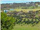 26 McLeod Road, Cape Jervis SA 5204
