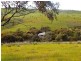 26 McLeod Road, Cape Jervis SA 5204