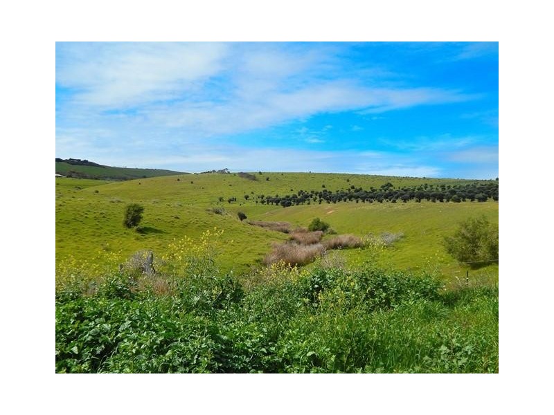 26 McLeod Road, Cape Jervis SA 5204
