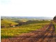 Lot 1 Stockwell Road, Inman Valley SA 5211