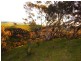 Lot 2 Stockwell Rd, Yankalilla SA 5203