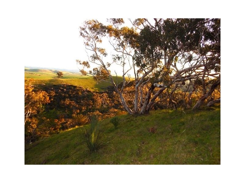 Lot 2 Stockwell Rd, Yankalilla SA 5203