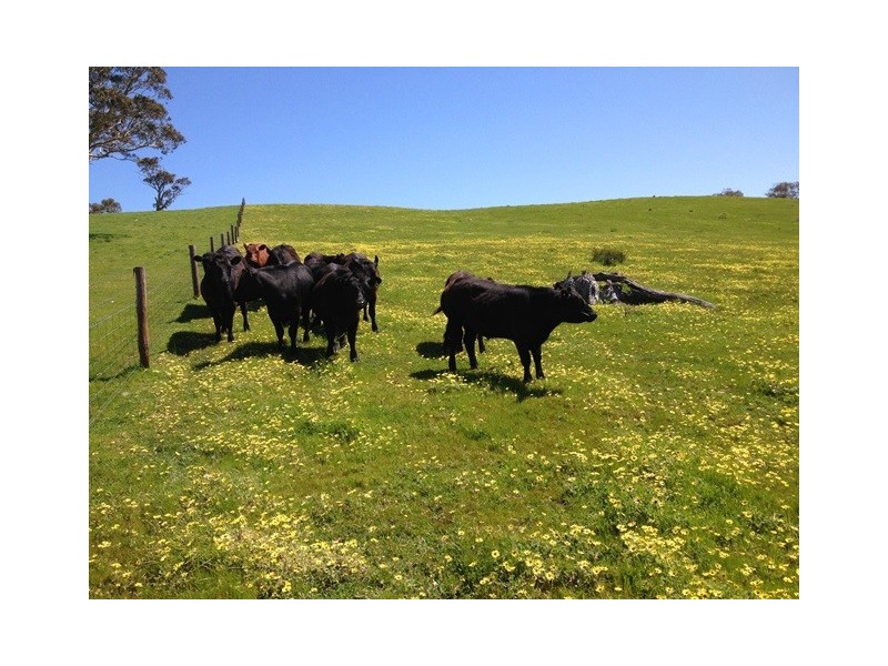 Lot 2 Stockwell Rd, Yankalilla SA 5203