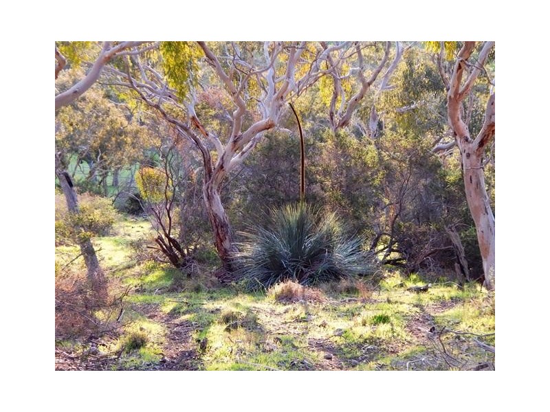 Lot 2 Stockwell Rd, Yankalilla SA 5203