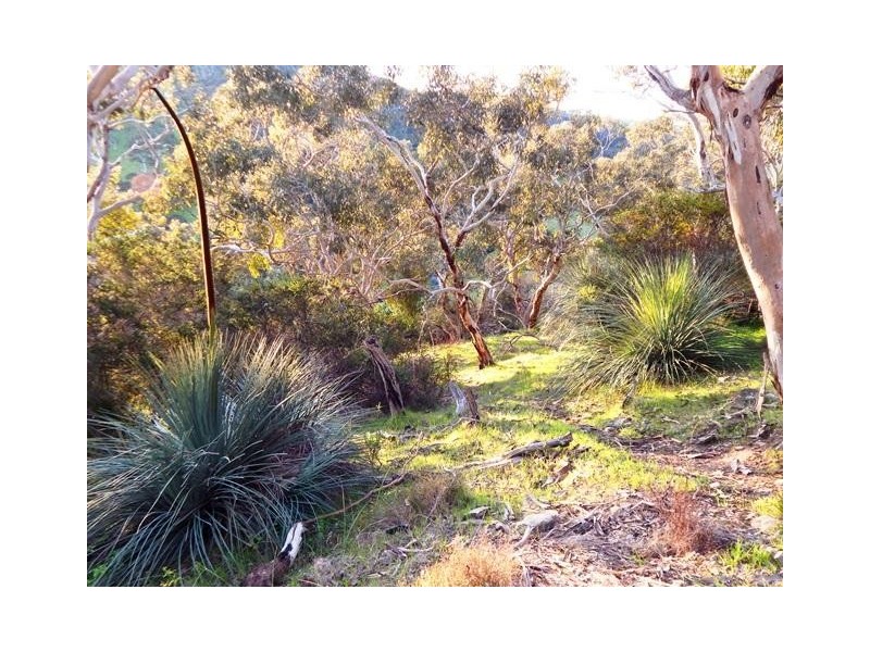 Lot 2 Stockwell Rd, Yankalilla SA 5203