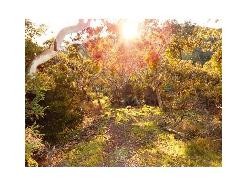 Lot 2 Stockwell Rd, Yankalilla SA 5203