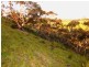 Lot 2 Stockwell Rd, Yankalilla SA 5203