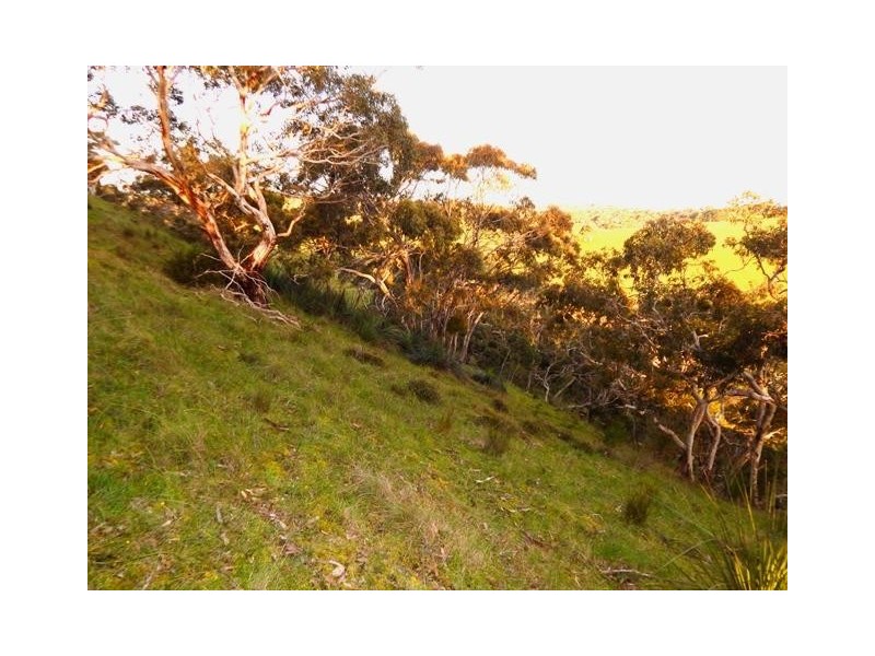 Lot 2 Stockwell Rd, Yankalilla SA 5203