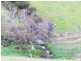 Lot 2 Stockwell Rd, Yankalilla SA 5203