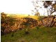 Lot 2 Stockwell Rd, Yankalilla SA 5203
