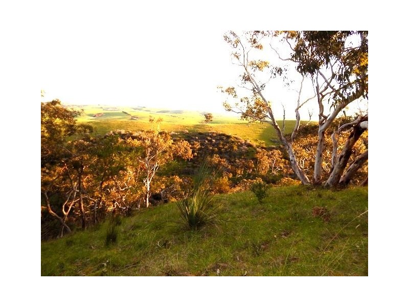 Lot 2 Stockwell Rd, Yankalilla SA 5203