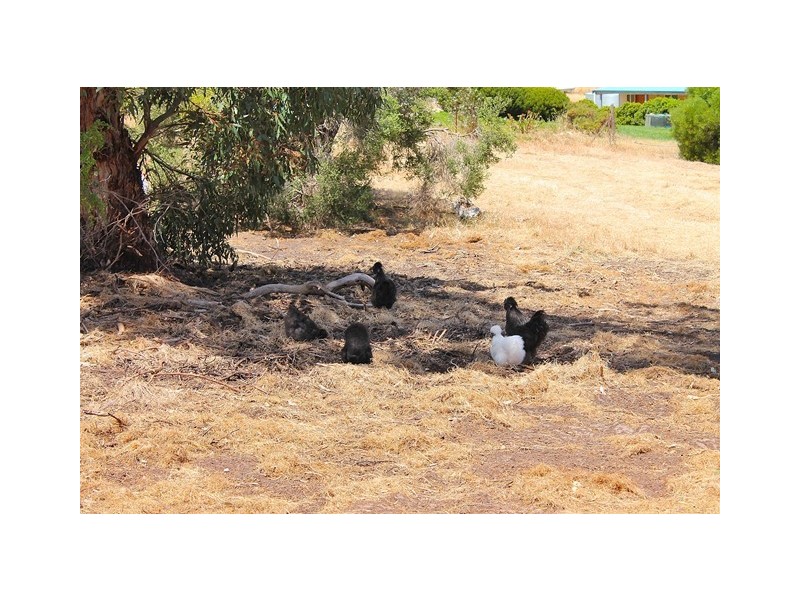 Lot 20, 39 James Street, Cape Jervis SA 5204