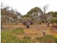 Lot 61, 13 Para Avenue, Cape Jervis SA 5204