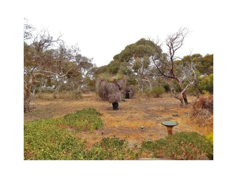 Lot 61, 13 Para Avenue, Cape Jervis SA 5204