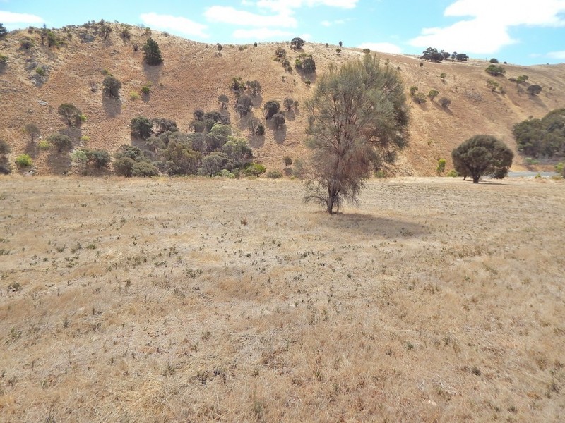 Lot 16, 7 Seaview Avenue, Wirrina Cove SA 5204