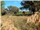 Lot 424, 154 Main South Road, Yankalilla SA 5203