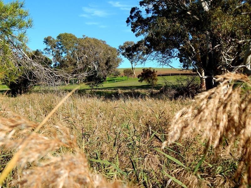 Lot 424, 154 Main South Road, Yankalilla SA 5203