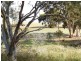 Lot 424, 154 Main South Road, Yankalilla SA 5203