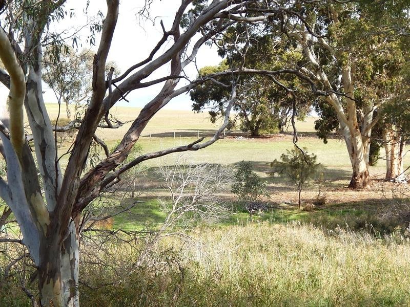 Lot 424, 154 Main South Road, Yankalilla SA 5203