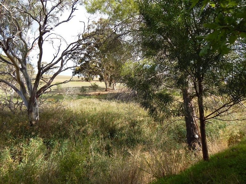 Lot 424, 154 Main South Road, Yankalilla SA 5203