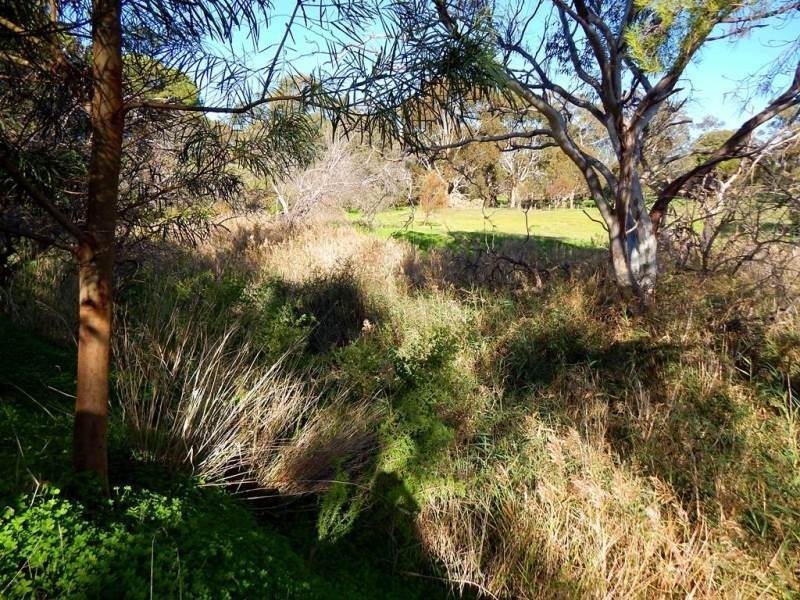 Lot 424, 154 Main South Road, Yankalilla SA 5203
