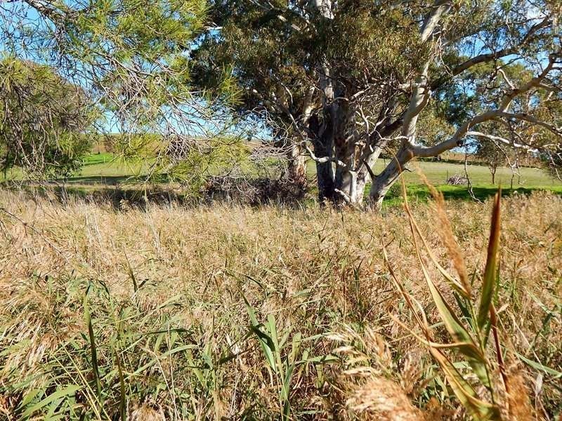 Lot 424, 154 Main South Road, Yankalilla SA 5203