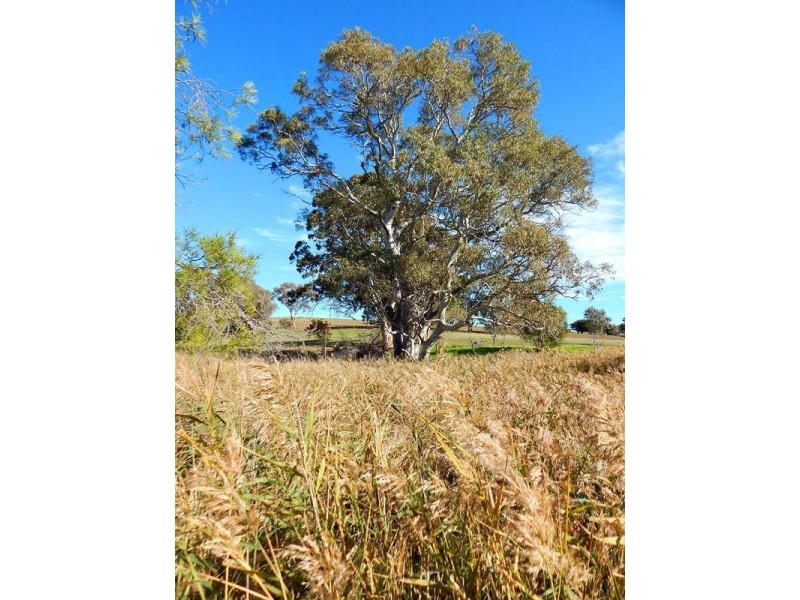 Lot 424, 154 Main South Road, Yankalilla SA 5203