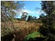Lot 424, 154 Main South Road, Yankalilla SA 5203