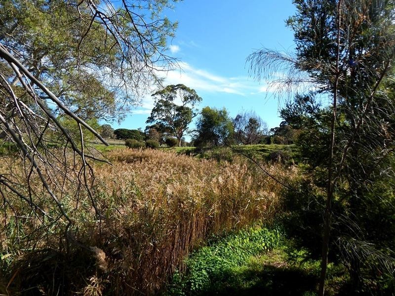 Lot 424, 154 Main South Road, Yankalilla SA 5203