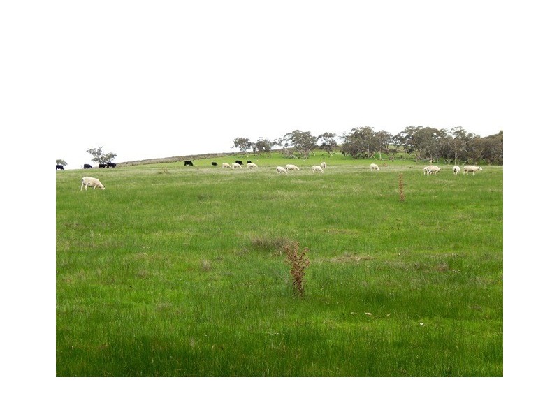 Lt 67 Parawa Road via Yankalilla, Torrens Vale SA 5203