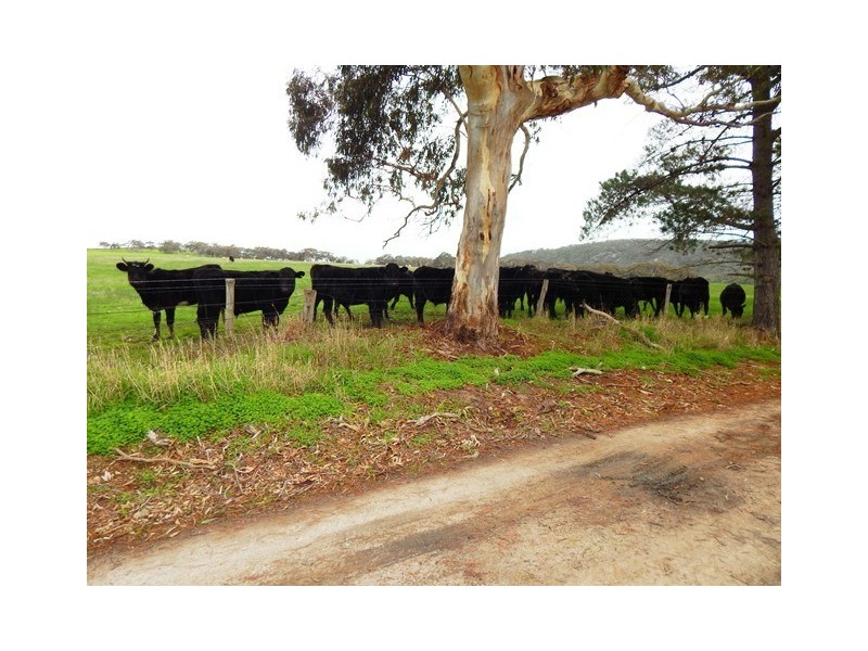 Lt 67 Parawa Road via Yankalilla, Torrens Vale SA 5203