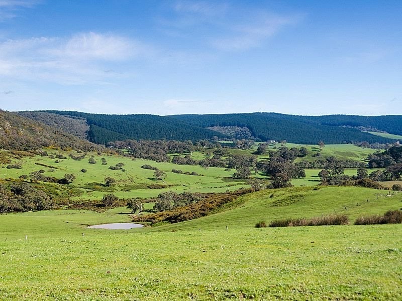 The Valley Parawa Road, Torrens Vale SA 5203