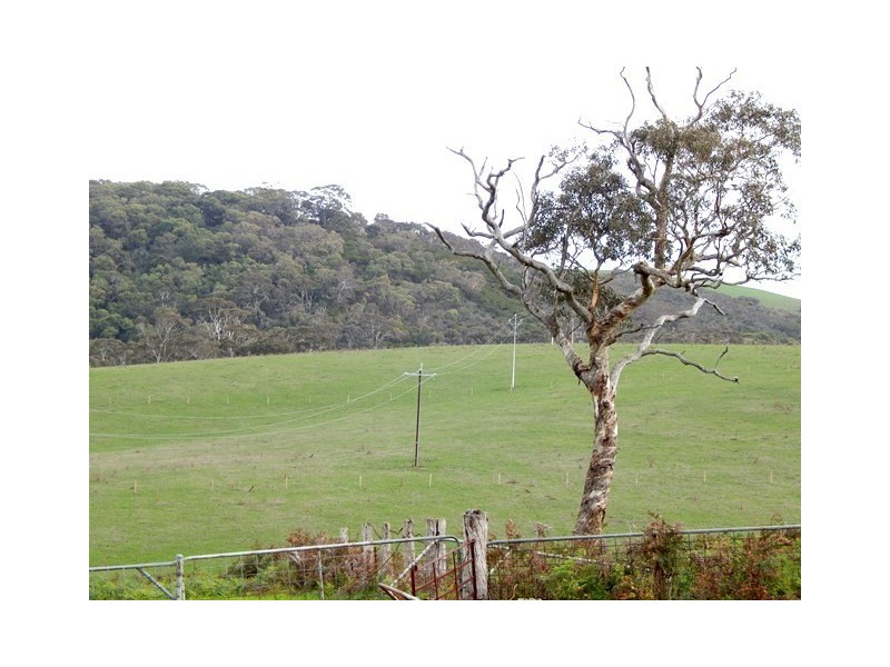 The Valley Parawa Rd, Torrens Vale SA 5203