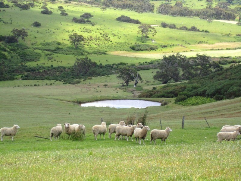 The Valley Parawa Rd, Torrens Vale SA 5203