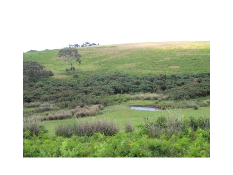 The Valley Parawa Rd, Torrens Vale SA 5203