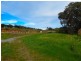 S3007 McLeod Road, Cape Jervis SA 5204