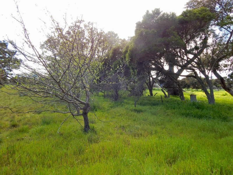 1 Panorama Crescent, Normanville SA 5204