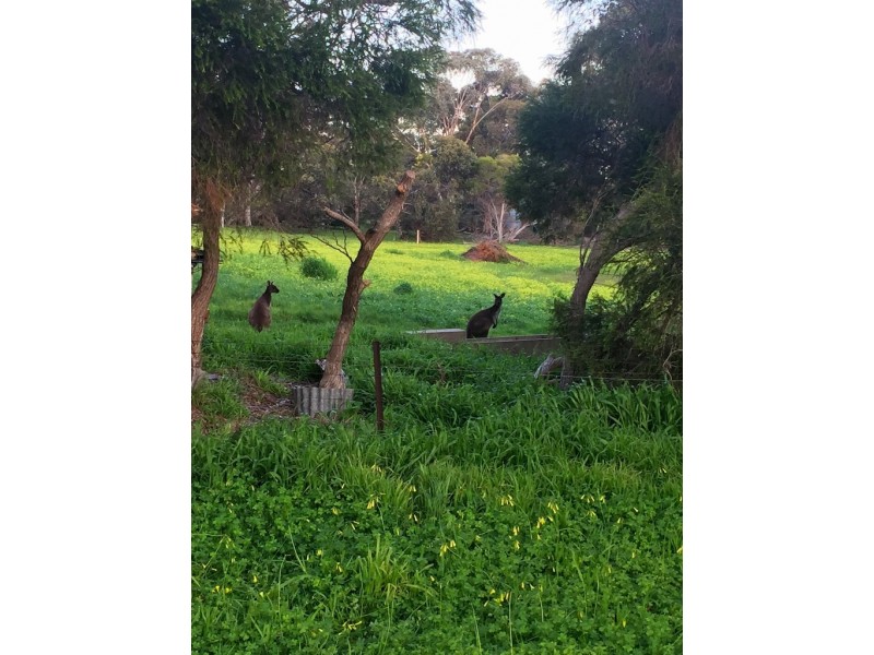 1 Panorama Crescent, Normanville SA 5204