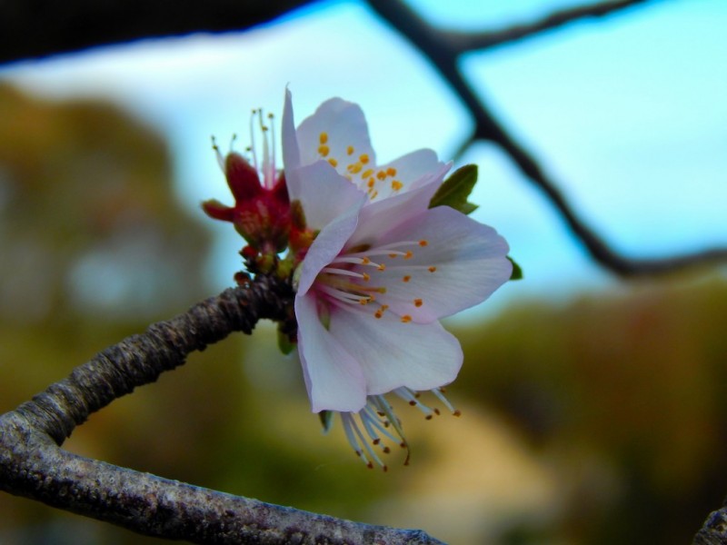 1 Panorama Crescent, Normanville SA 5204