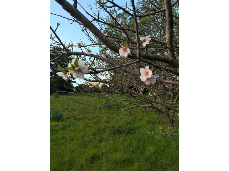 1 Panorama Crescent, Normanville SA 5204