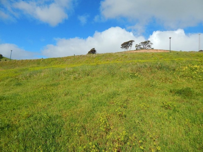 Lot 105, 27 Cherry Hills Crescent, Normanville SA 5204